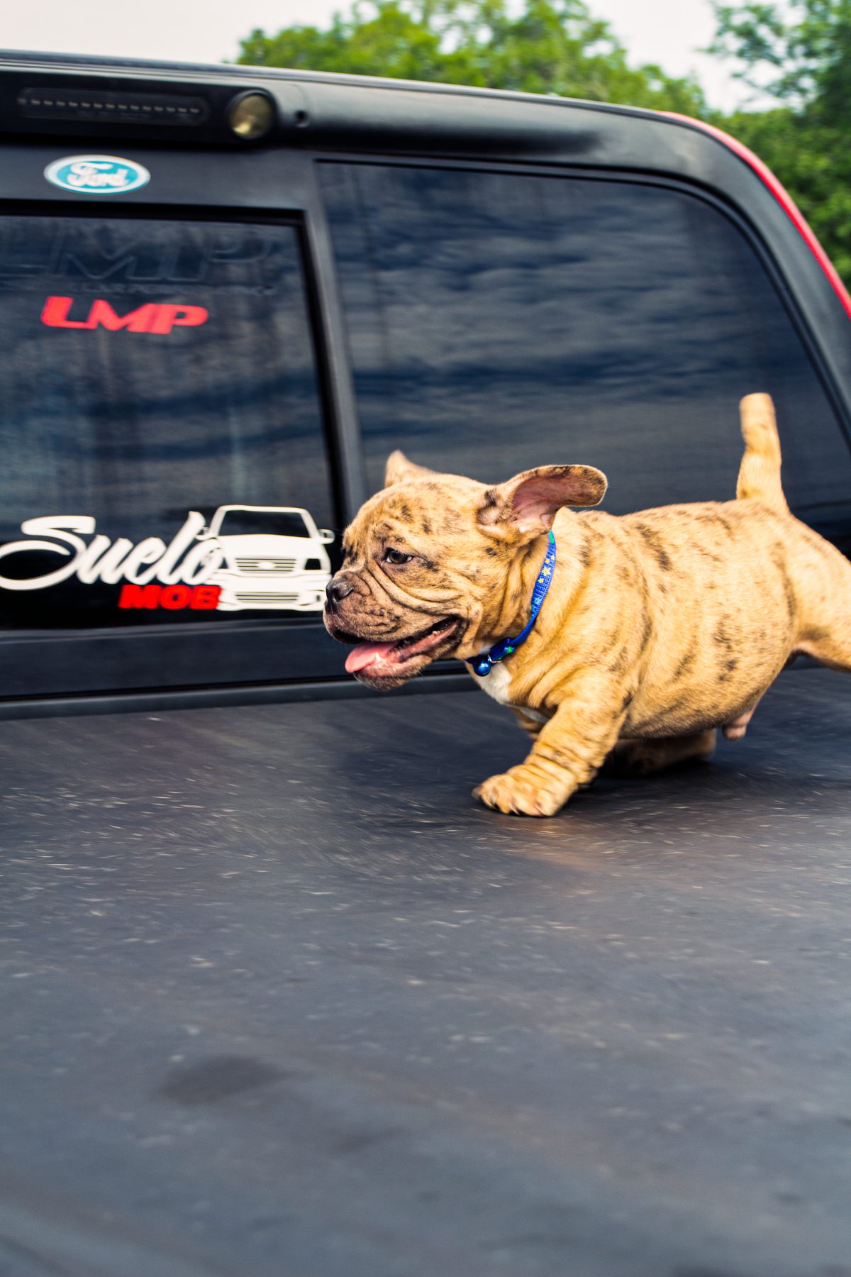 Automotive photograph 3
